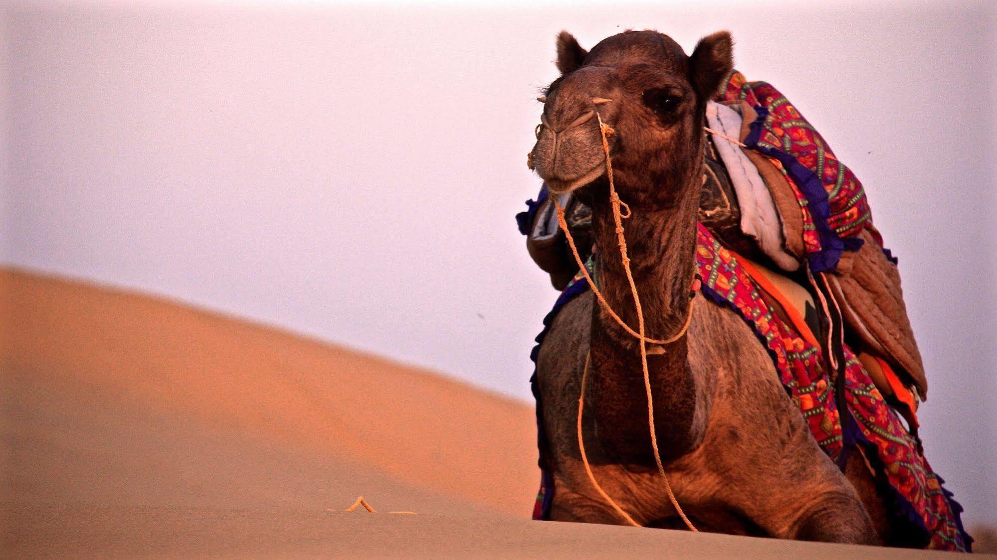 Damodra Desert Camp Jaisalmer Esterno foto