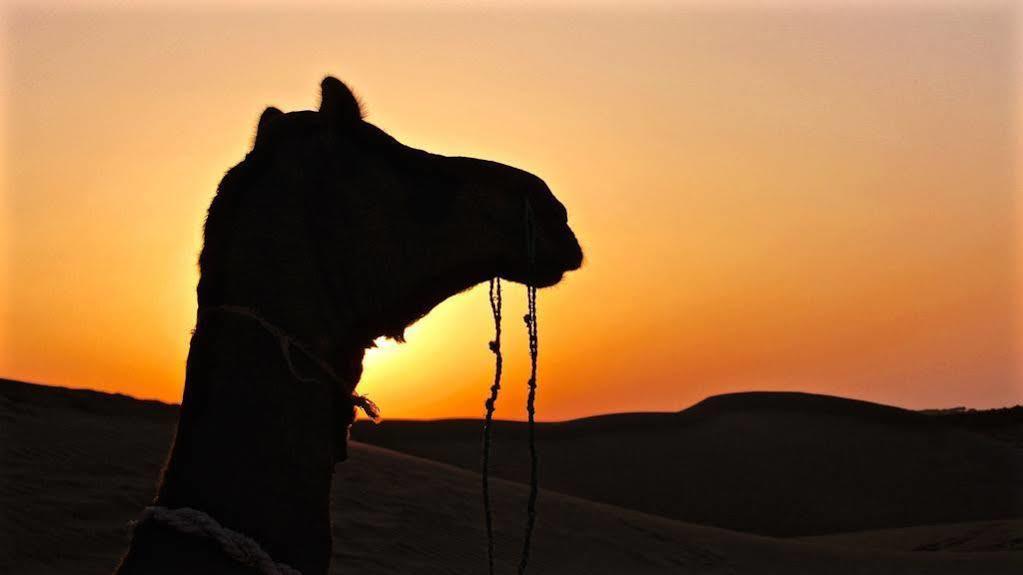 Damodra Desert Camp Jaisalmer Esterno foto